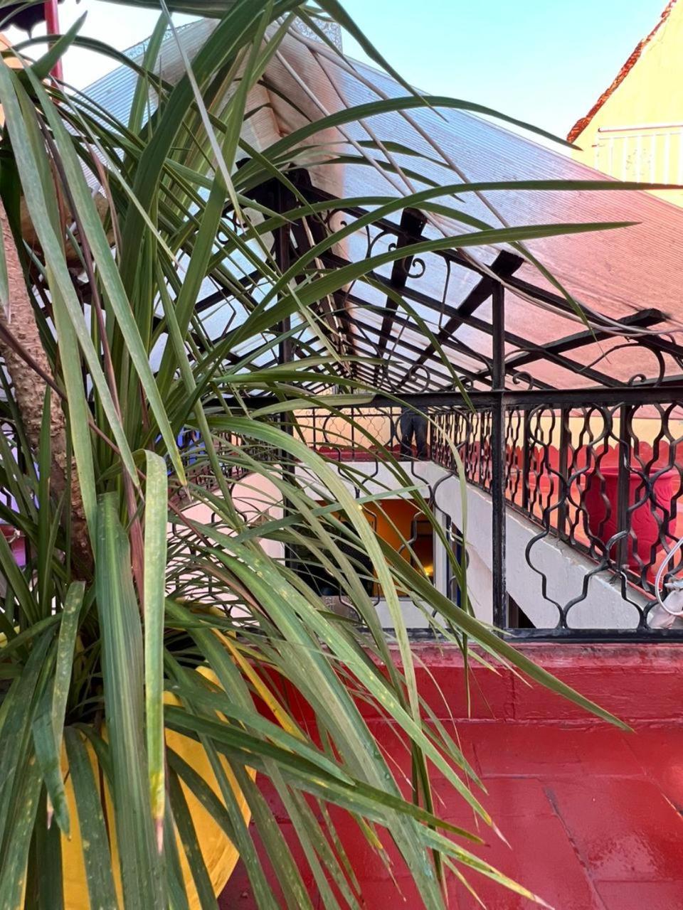 Riad Oyoune Ραμπάτ Εξωτερικό φωτογραφία